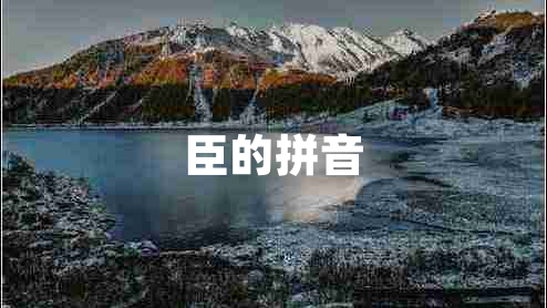 臣的拼音