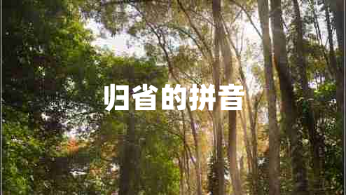 归省的拼音