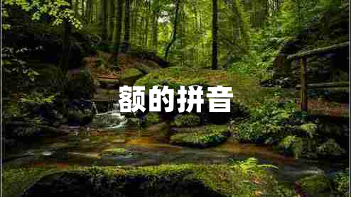 额的拼音