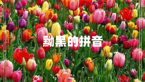 黝黑的拼音