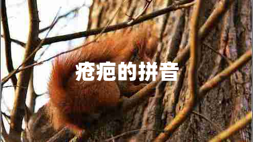 疮疤的拼音