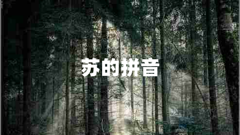 苏的拼音