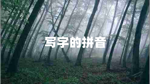 写字的拼音