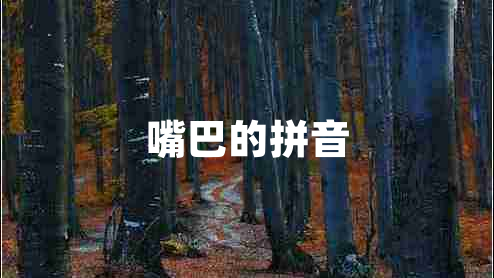 嘴巴的拼音