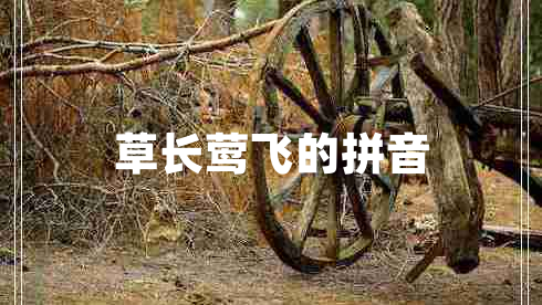 草长莺飞的拼音