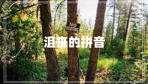沮丧的拼音