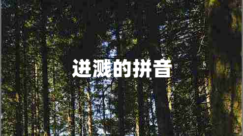 迸溅的拼音