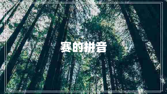 赛的拼音
