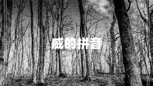 威的拼音