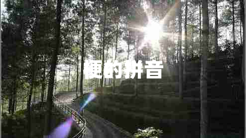 梗的拼音