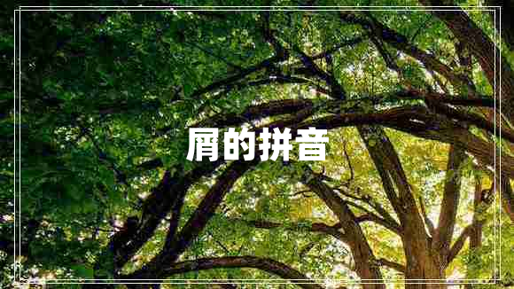 屑的拼音