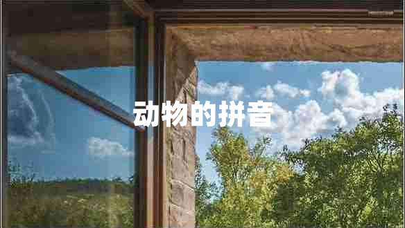 动物的拼音