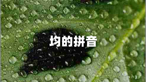 均的拼音