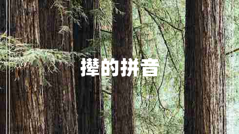 撵的拼音