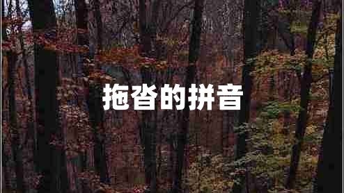 拖沓的拼音