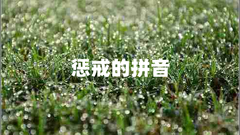 惩戒的拼音