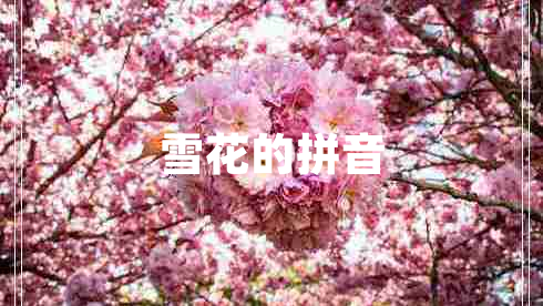 雪花的拼音