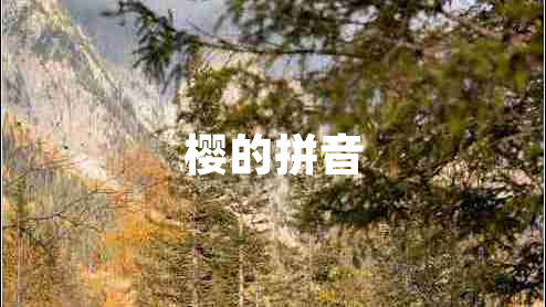 樱的拼音 樱的拼音