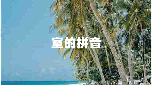室的拼音