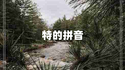 特的拼音
