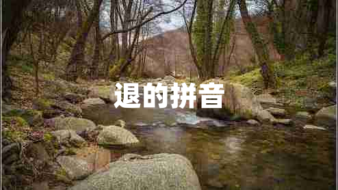 退的拼音