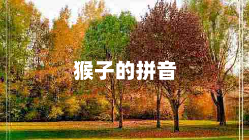猴子的拼音
