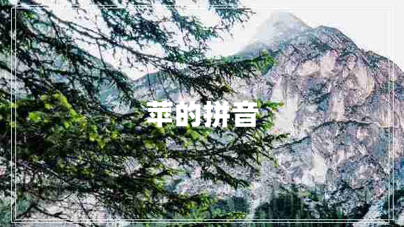苹的拼音