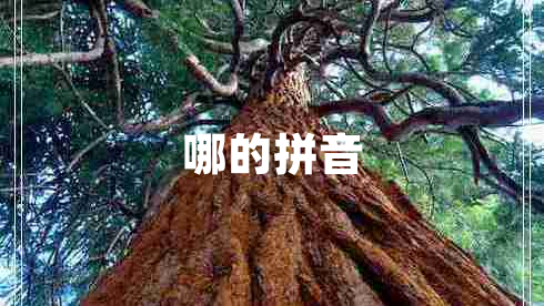 哪的拼音