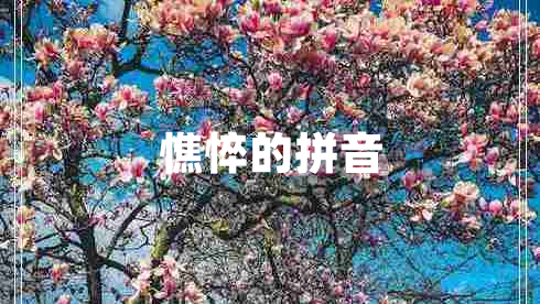 憔悴的拼音