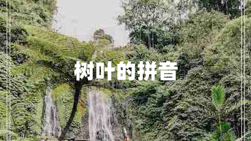 树叶的拼音