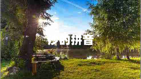沙的拼音