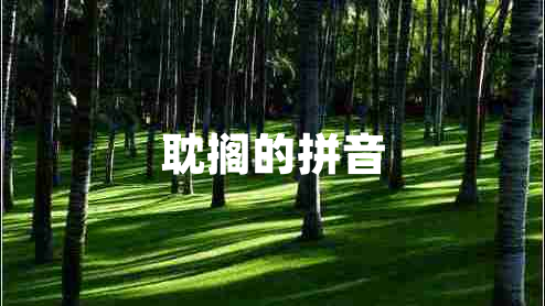 耽搁的拼音