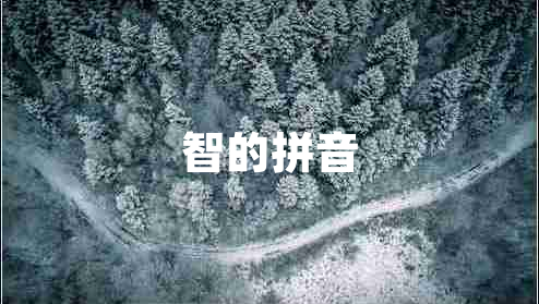智的拼音