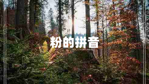 粉的拼音