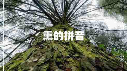 熏的拼音 熏的拼音