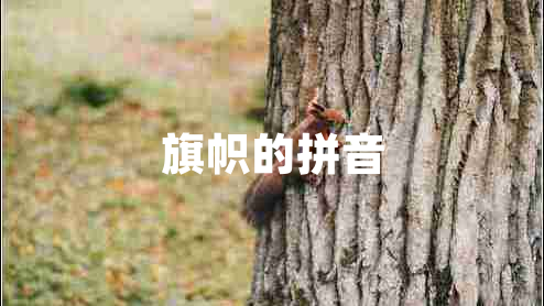 旗帜的拼音 旗帜的拼音