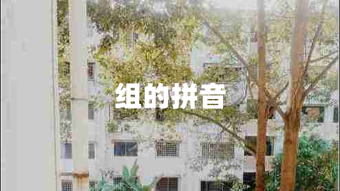 组的拼音