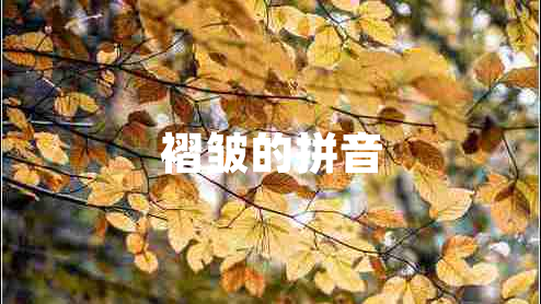 褶皱的拼音