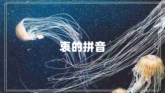 衷的拼音