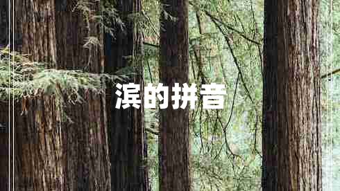 滨的拼音