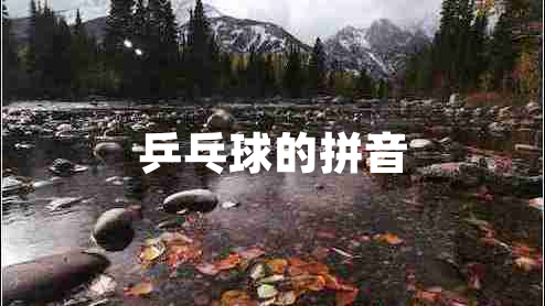 乒乓球的拼音