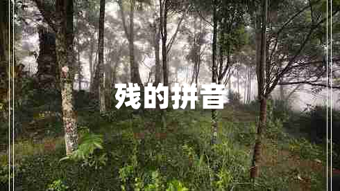 残的拼音
