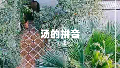 汤的拼音