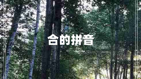合的拼音