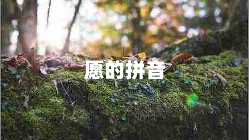 愿的拼音