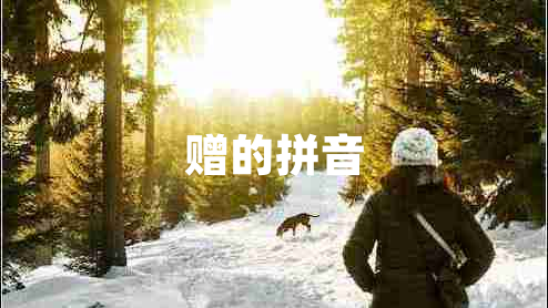 赠的拼音