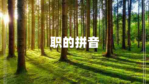职的拼音
