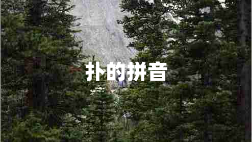 扑的拼音