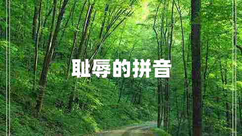 耻辱的拼音