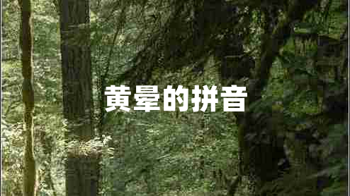 黄晕的拼音